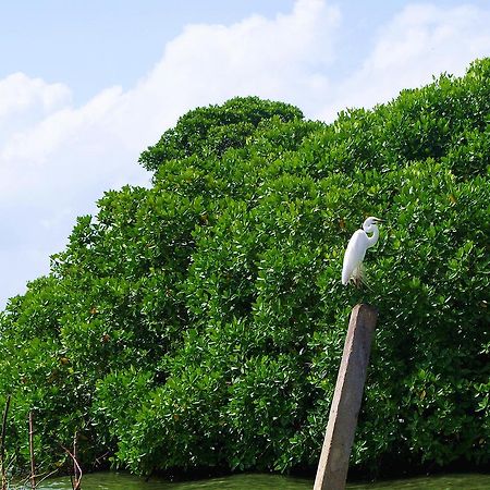 Villa Eco Green Negombo Buitenkant foto