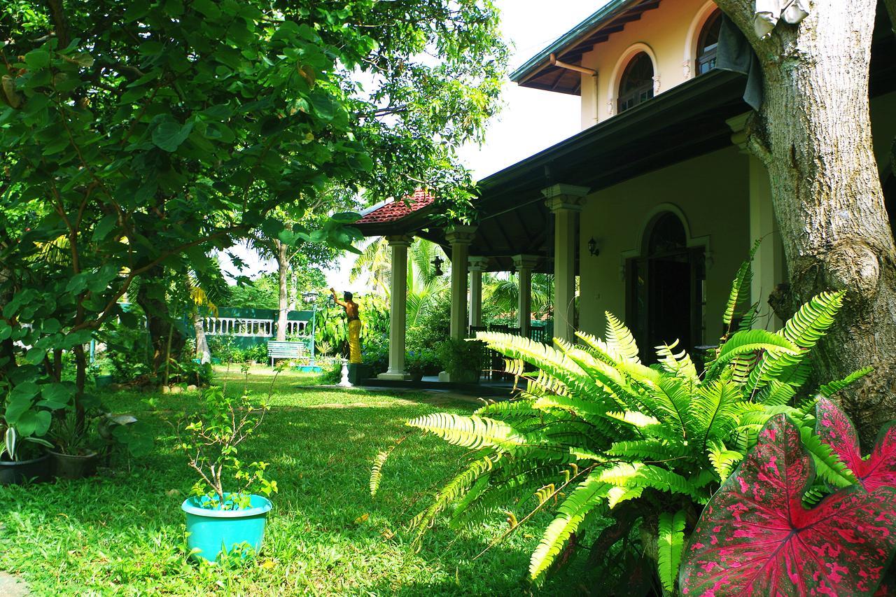 Villa Eco Green Negombo Buitenkant foto